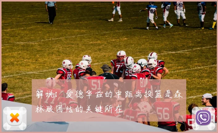 解说：爱德华兹的中距离投篮是森林狼团结的关键所在