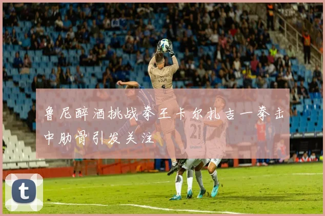 鲁尼醉酒挑战拳王卡尔扎吉一拳击中肋骨引发关注