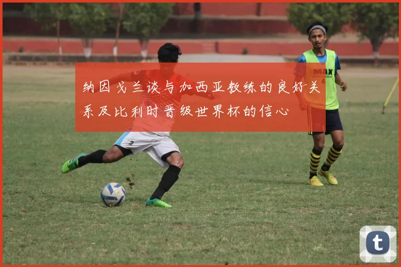 纳因戈兰谈与加西亚教练的良好关系及比利时晋级世界杯的信心