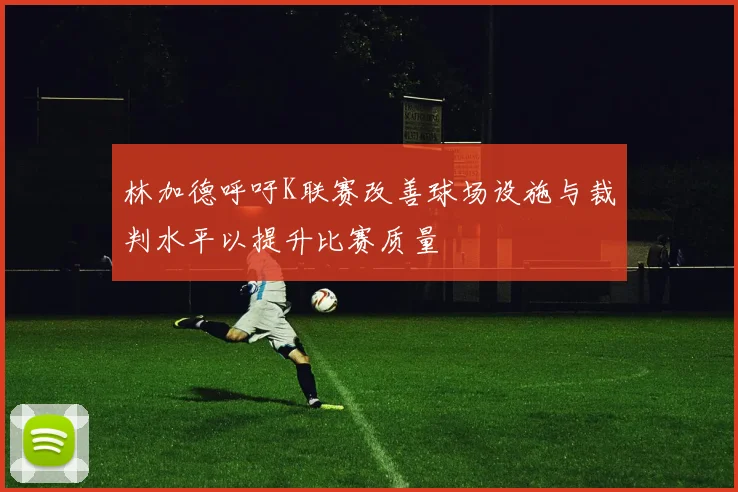 林加德呼吁K联赛改善球场设施与裁判水平以提升比赛质量